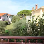 Mirela * Ρόβινι